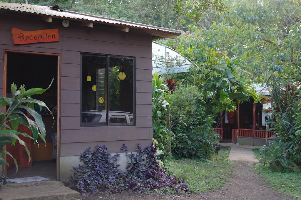 Finca Verde Lodge Bijagua de Upala Exterior foto