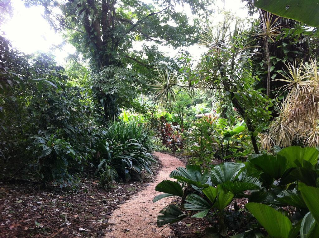 Finca Verde Lodge Bijagua de Upala Exterior foto