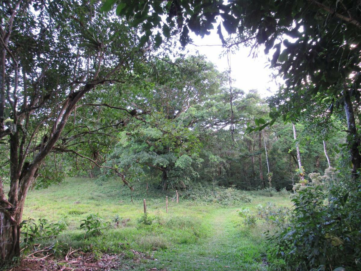 Finca Verde Lodge Bijagua de Upala Exterior foto